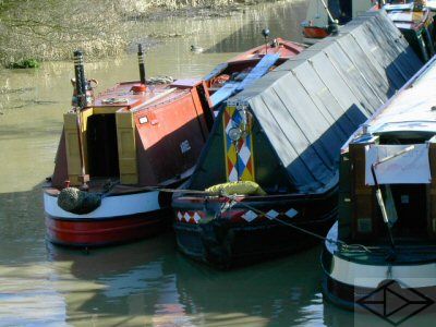 ariel-braunston-08-2007.jpg